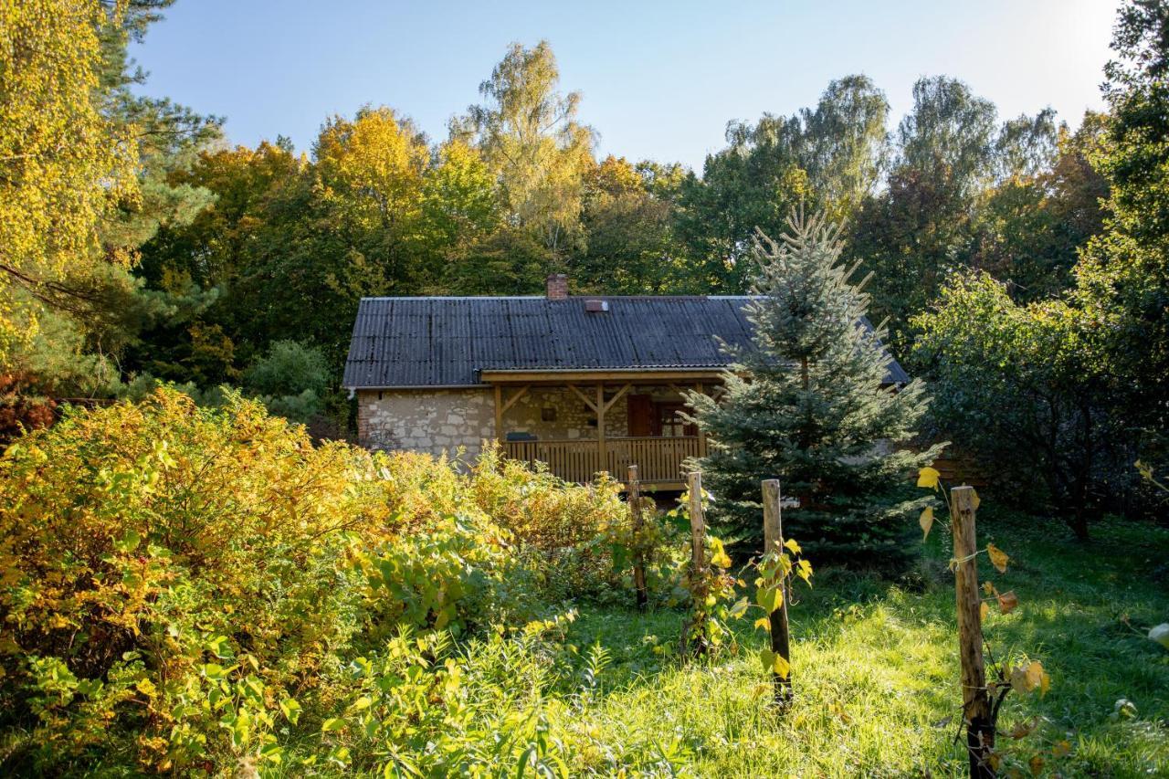 Agroturystyka Siedlisko Wydry - Dom W Srodku Lasu Wierzchoniow المظهر الخارجي الصورة